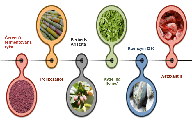 prirodne zlozenie vyzivoveho doplnku Armolipid PLUS