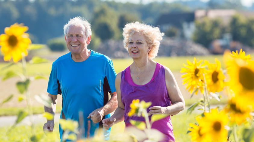 Couple walking among sunflowers